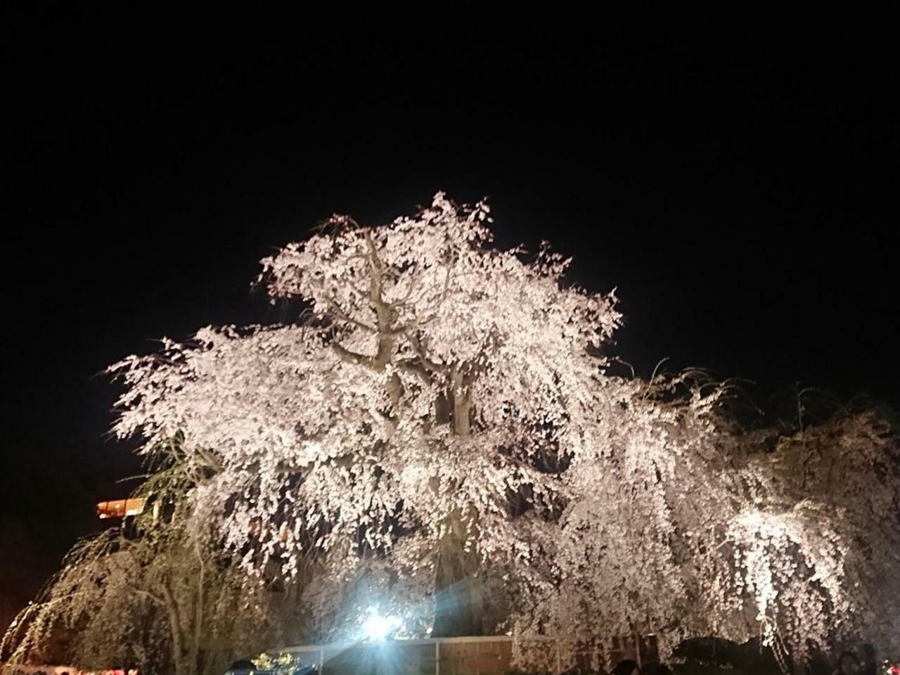 Hostel Kyoto Arashiyama Muko Luaran gambar