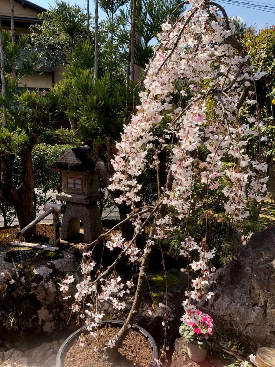 Hostel Kyoto Arashiyama Muko Luaran gambar