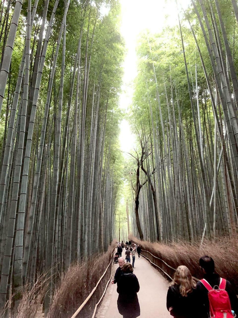 Hostel Kyoto Arashiyama Muko Luaran gambar